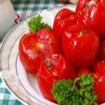 Малосольные помидоры в пакете с чесноком — быстрые рецепты приготовления Зеленые помидоры в пакете на зиму