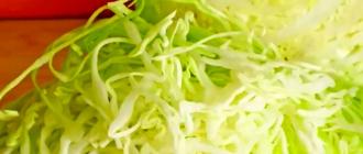Как приготовить вкусный салат с капустой: лучшие рецепты с фото Нежный салатик со свежим огурцом
